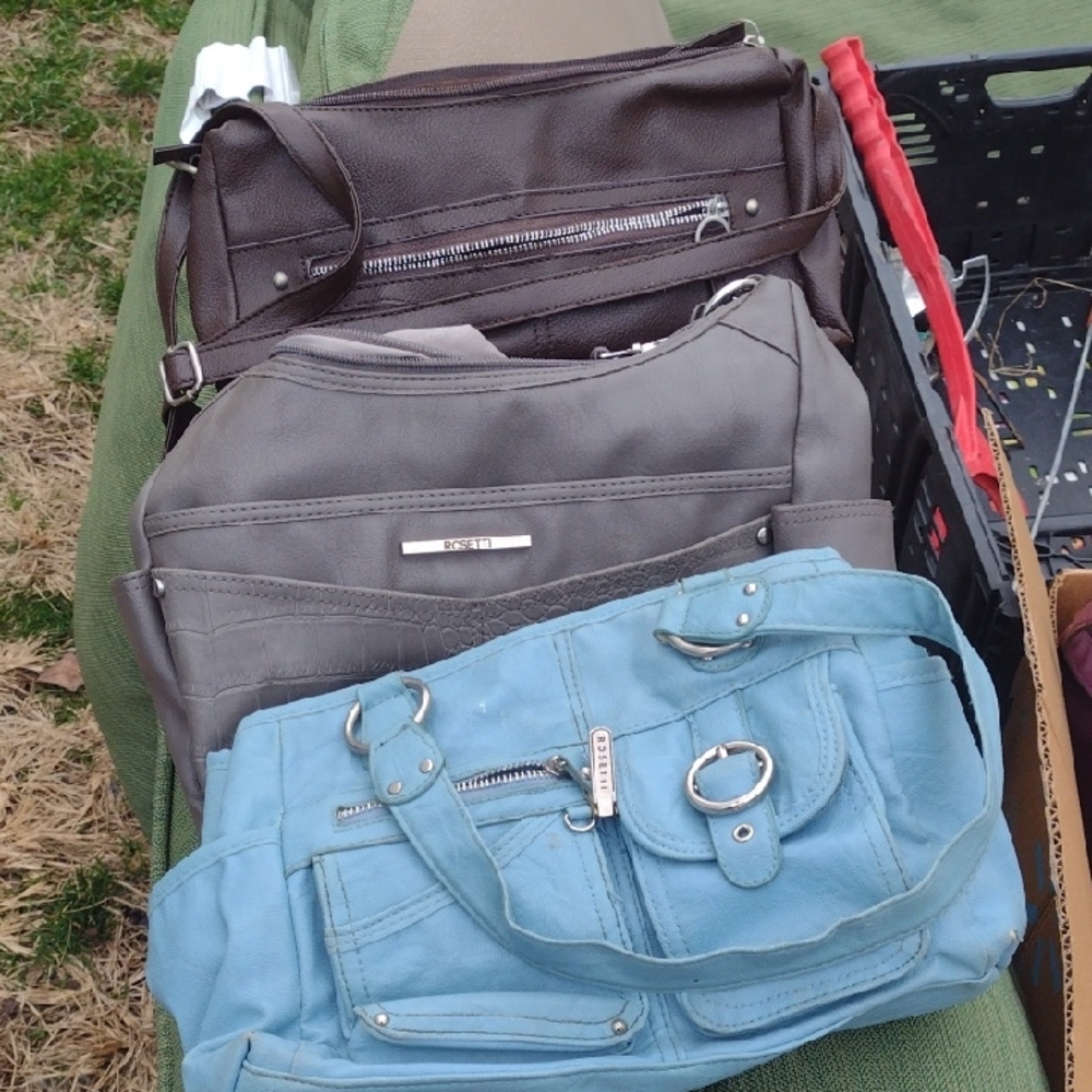 Rosetti Bag Pair & Bonus Item